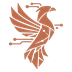 xaidr app icon