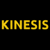 Amazon Kinesis Modular Input app icon